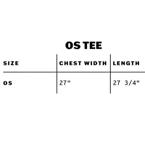 DAYDREAMER Exploded Water Lily Tee in Blue Mist, One Size / P2P 27” New w/ Tag - Picture 6 of 9